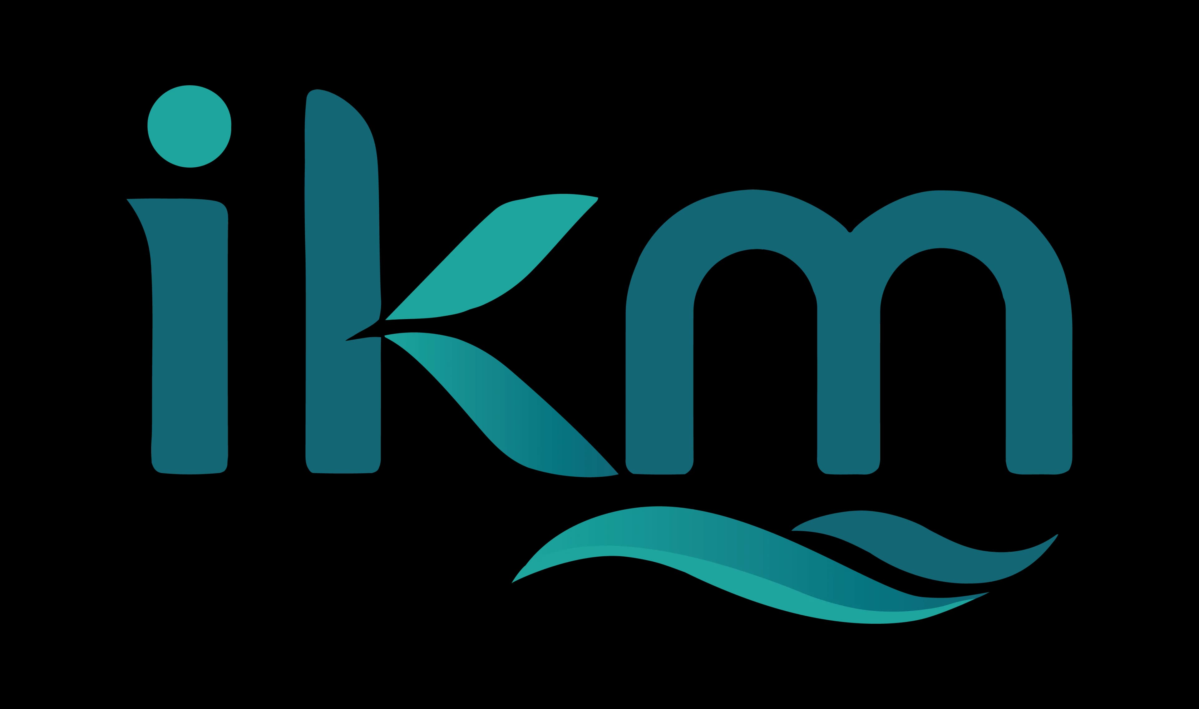 PT IKM